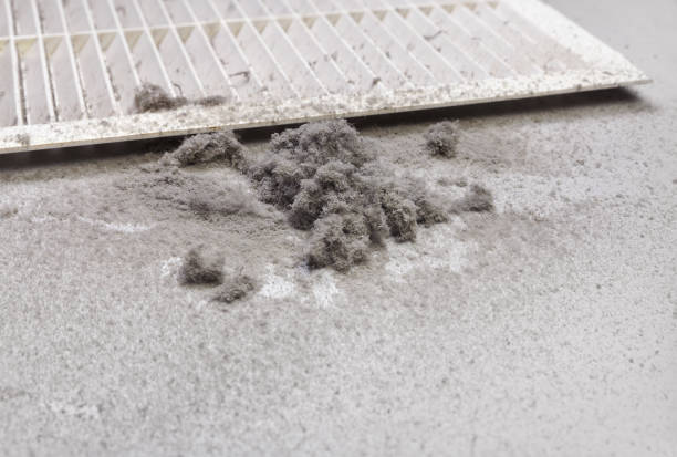 Best HVAC Duct Inspection Services  in Slocom, AL