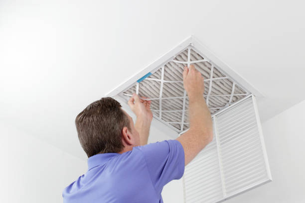 Best Professional Duct Cleaning Services  in Slocom, AL